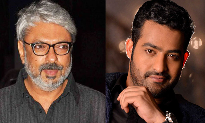  Nandamuri Fans Waiting For Jr Ntr And Bhansali Combination, Tollywood, Bollywood-TeluguStop.com