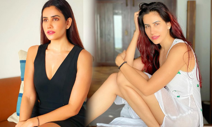 Pictures Of Bollywood Actress Sonnalli Seygall shake Up The Show Social Media-telugu Actress Photos Pictures Of Bollywoo High Resolution Photo