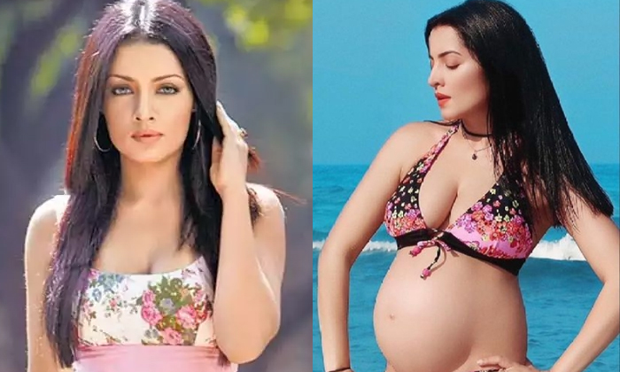  Telugu Heroine Celina Jaitley Facing Problems At Her Pregnancy Time, Telugu Hero-TeluguStop.com