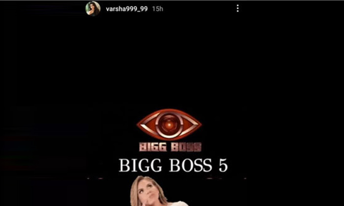 Telugu Bigg Boss, Bigg Boss Fans, Biggboss, Varshabigg-Movie