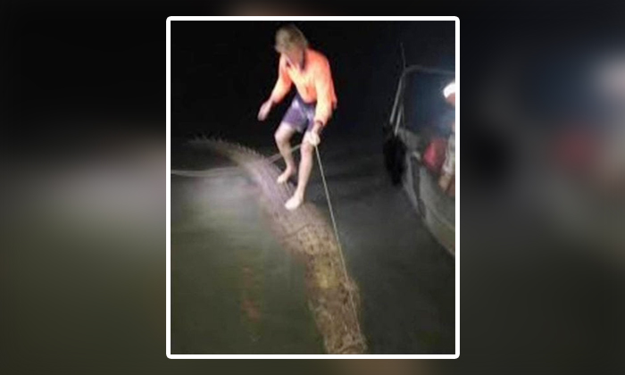  Viral Young Man Surfing On A Crocodile What Happened Next, Viral News, Viral New-TeluguStop.com