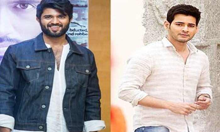  All Star Heros Must Fellow Mahesh Babu And Vijay Devarakonda,latest News  Viral-TeluguStop.com