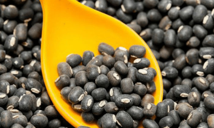 Telugu Black Urad Dal, Effectsblack, Tips, Kidney, Latest Nws, Minapappu-Latest