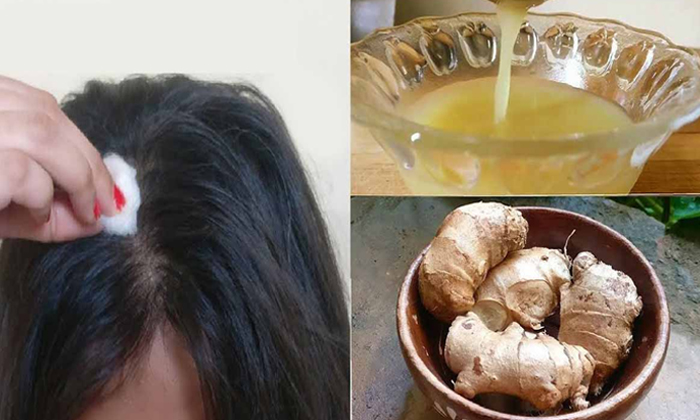  Ginger Help To Reduce Dandruff Naturally! Ginger, Dandruff, Hair Care, Hair, Ben-TeluguStop.com