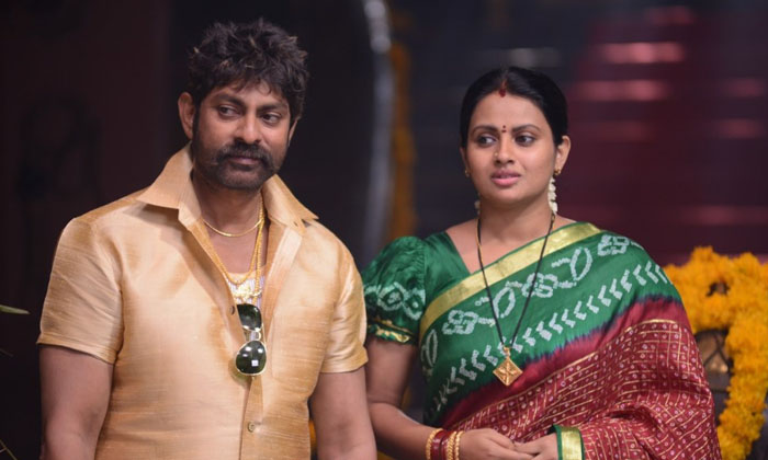 Telugu Abbas Tabu, Jagapathibabu, Naresh Amani, Naresh Sithara, Prakashraj, Toll