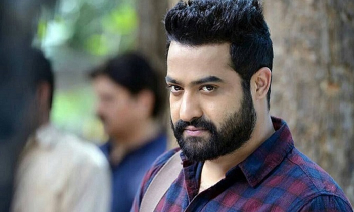  Tollywood Star Hero Junior Ntr Life Style Details, Interesting Facts, Junior Ntr-TeluguStop.com