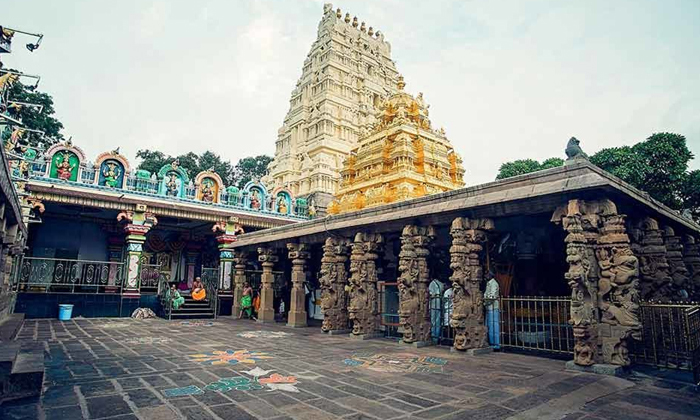 Telugu Dantewada, Rajasthan, Tirumala, Gold, Top, Yeddyurappa-Latest News Englis