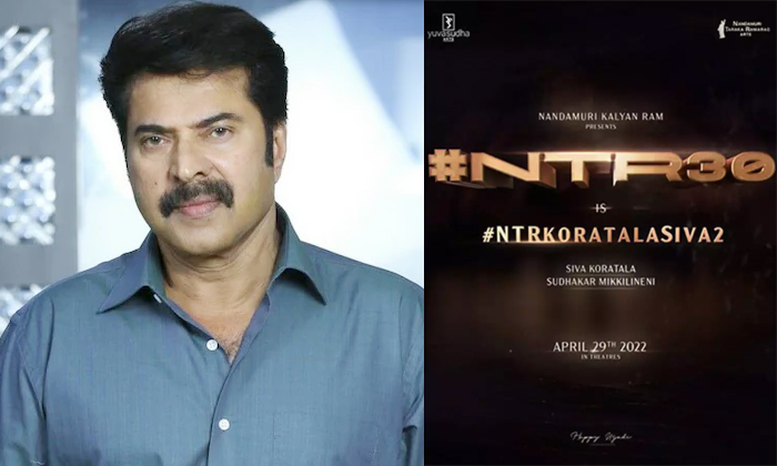  Mammooty Playing Another Strong Role In Ntr And Koratala Shiva Movie, Ntr, Tolly-TeluguStop.com