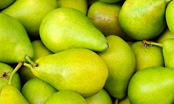  Pears Can  Regulate Blood Sugar Levels! Pears Fruit, Benefits Of Pears Fruit, Pe-TeluguStop.com