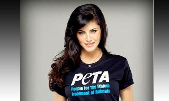  Sunny Leone Peta India To Donate 10000 Meals To Corona Migrating Workers, 10000-TeluguStop.com