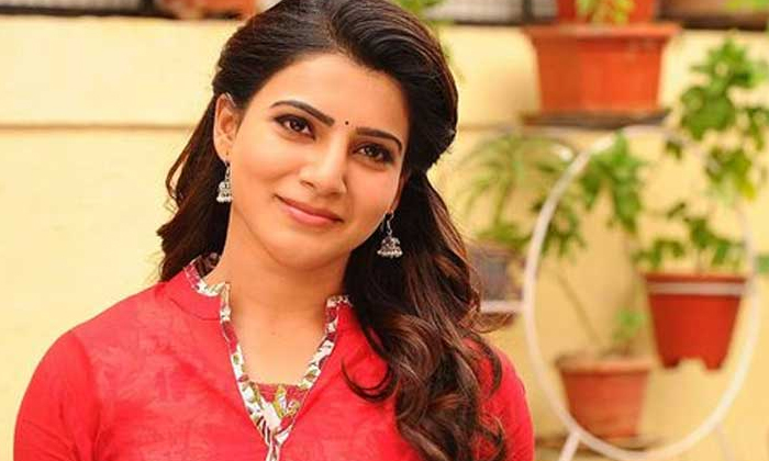  Samntha Gets Bollywood Offers Samantha, Tollywood, Bollywood Offers, The Family-TeluguStop.com