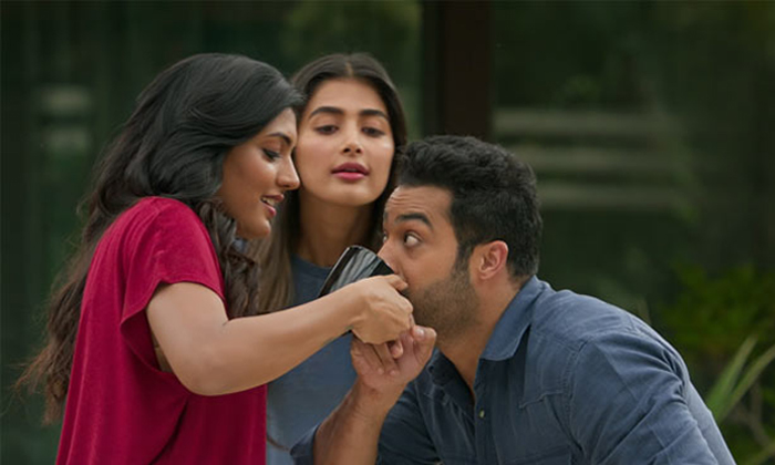 Telugu Sisters, Esha Rebba, Ileanan, Meena, Mehreen, Nagma, Pooja Hegde, Sanjana