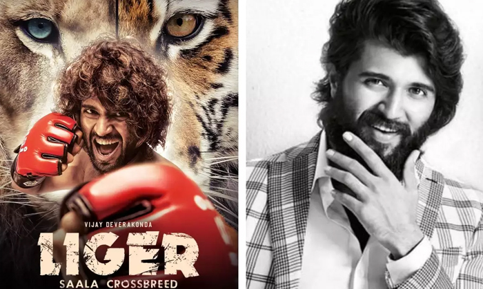  Vijay Devarakonda Fans Begging Puri For An Update On Liger Movie, Puri Jagannadh-TeluguStop.com