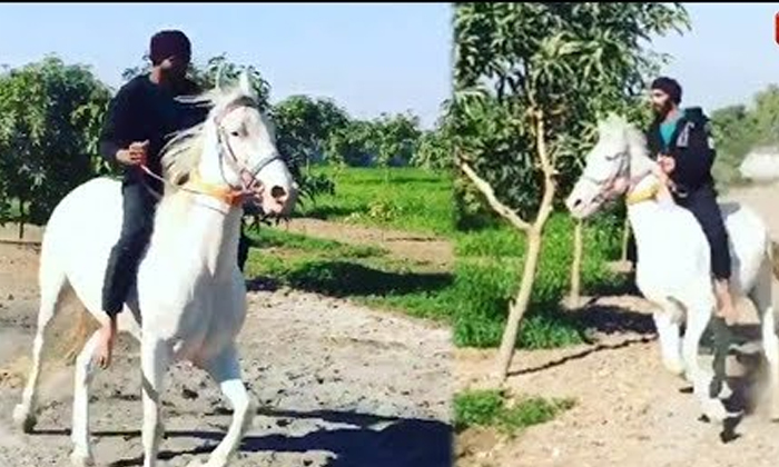  Viral Video Jadeja Having Fun Riding A Horse, Viral Video, Viral Video In Intern-TeluguStop.com