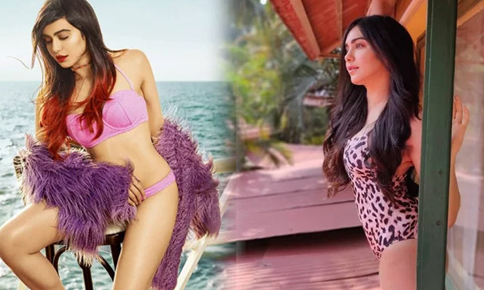 Actress Adah Sharma Top 10 Awesome Pics-telugu Actress Photos Actress Adah Sharma Top 10 Awesome Pics - Actressadah  Ada High Resolution Photo