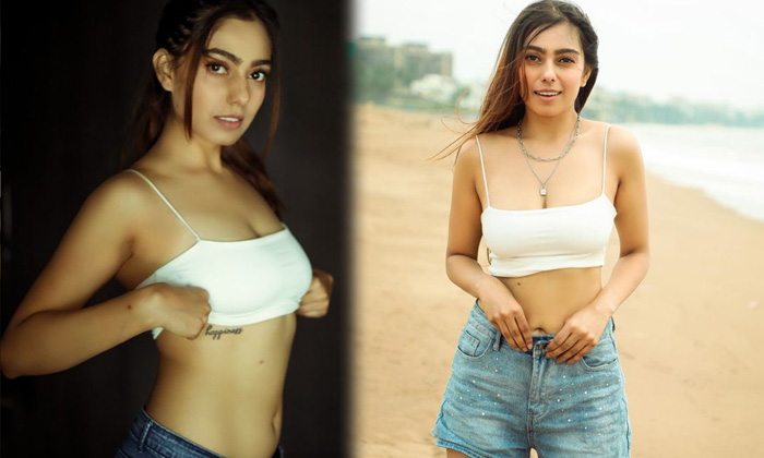 Bollywood Model And Actress Dinky Kapoor Sensational Hot Images-telugu Actress Photos Bollywood Model And Actress Dinky  High Resolution Photo