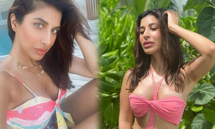 Glamorous Pictures Of Actress Sophie Choudry Make Heads Turn-telugu Actress Photos Glamorous Pictures Of Actress Sophie High Resolution Photo