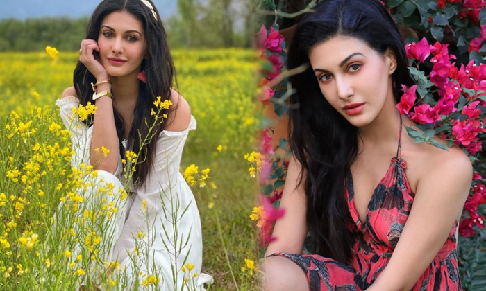 Hd Photos Of Bollywood Sensation Actress Amyra Dastur-telugu Actress Photos Hd Photos Of Bollywood Sensation Actress Amy High Resolution Photo