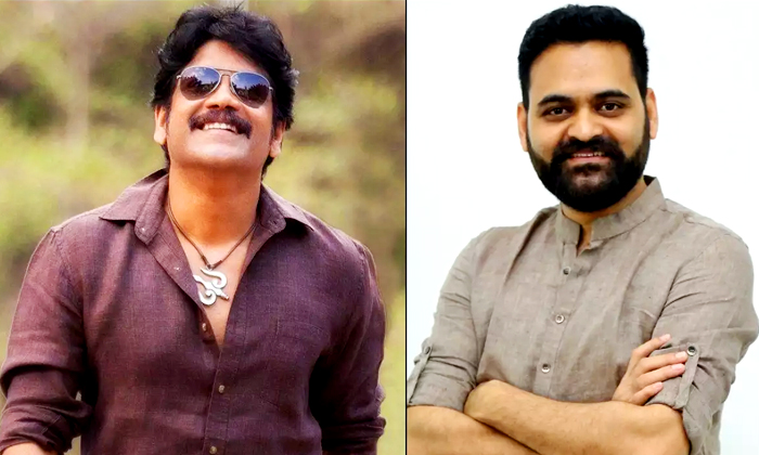  Nagarjuna Taking Risk Again In Second Wave, Nagarjuna, Wild Dog, Praveen Sattaru-TeluguStop.com