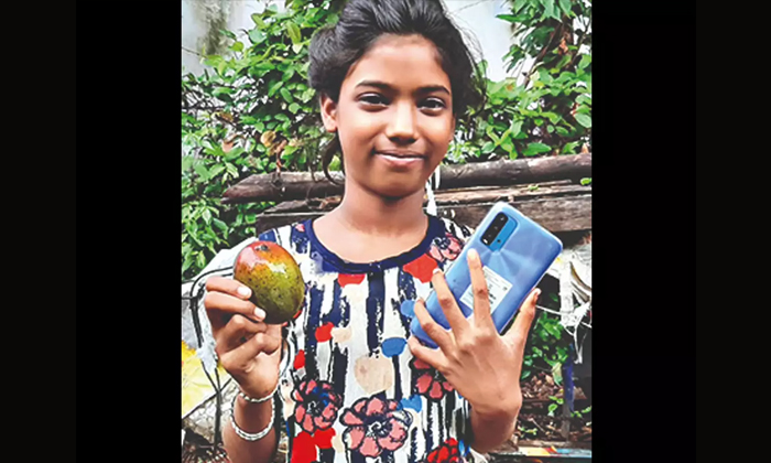  A Business Man Buys 12 Mangoes With 1 Lac 20 Thousand Rupees From A Poor Girl In-TeluguStop.com