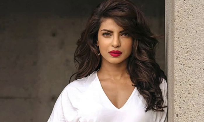 Telugu Career, Priyanka Chopra-Movie