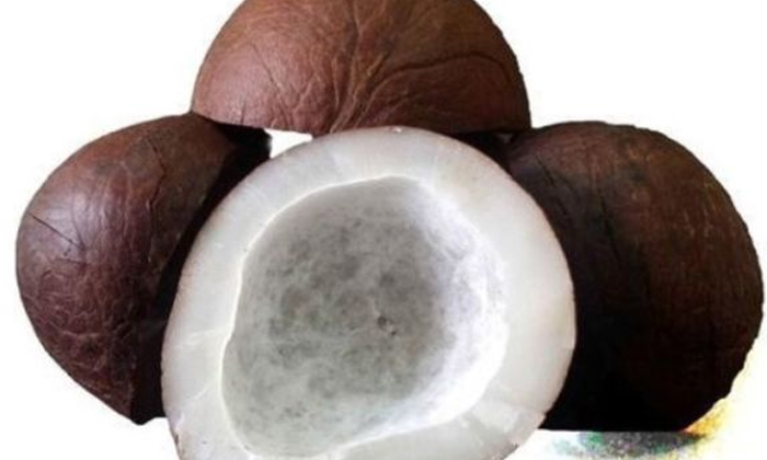 Telugu Benefitsdry, Brain, Dry Coconut, Tips-Telugu Health - తెలుగు