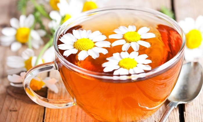  Chrysanthemum Tea Helps To Get Rid Of Menstrual Cramps! Chrysanthemum Tea, Menst-TeluguStop.com