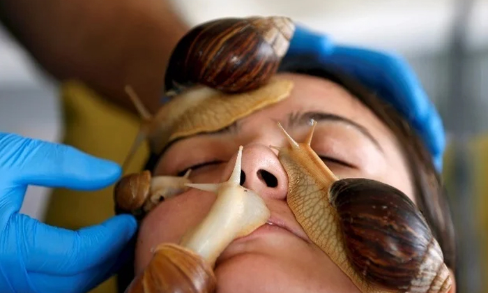  Here How Snail Slime Can Cure Age Old Problems Anti Ageing, Japan, Facial ,rare-TeluguStop.com