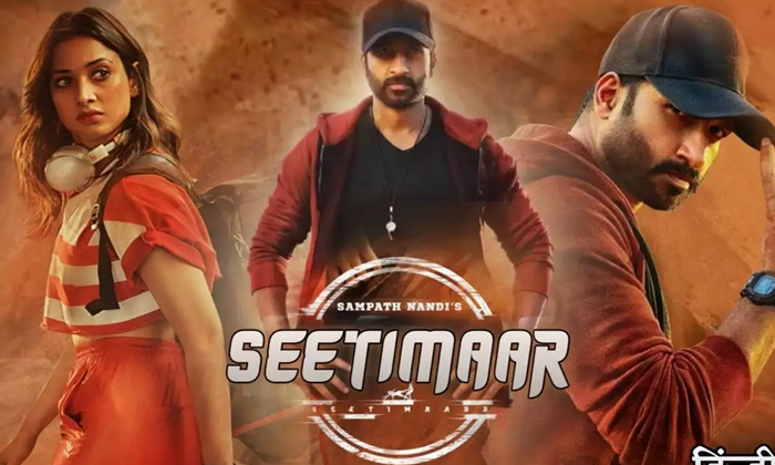 Telugu Poster, Gopichand, Seeti Maar, Seetimaar-Movie