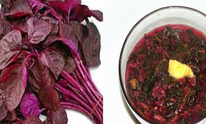 Telugu Benefitsred, Benefits, Tips, Red Amaranth-Telugu Health - తెలుగ