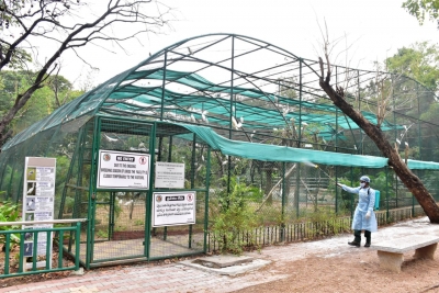  Hyderabad Zoo Drops ‘komaram Bheem’ Name For Newborn Gaur After Row-TeluguStop.com