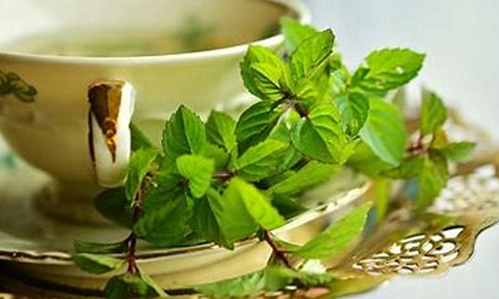  Mint Leaves, Reduce Stomach Ulcer, Mint Leaves For Health, Stomach Ulcer, Benef-TeluguStop.com