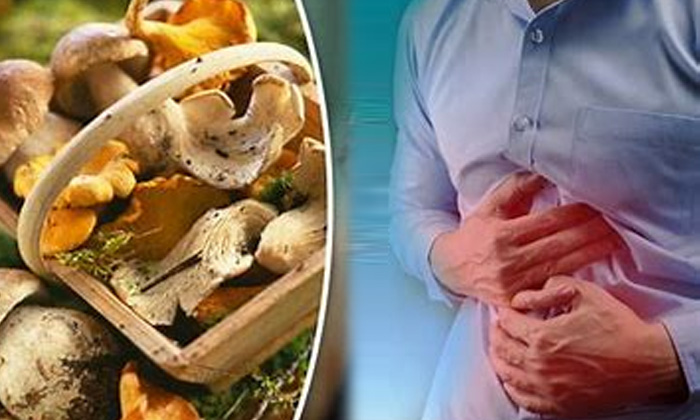 Telugu Eat Mushrooms, Eatmushrooms, Tips, Latest, Mushrooms-Telugu Health - త�