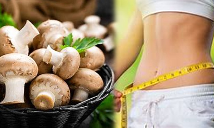  Mushrooms, Eat Mushrooms Regularly, Eat Mushrooms, Benefits Of Mushrooms, Mushro-TeluguStop.com