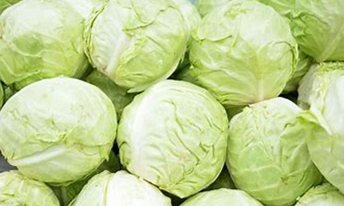  Natural Remedies, Cough, Cabbage, Benefits Of Cabbage, Cabbage For Health, Healt-TeluguStop.com