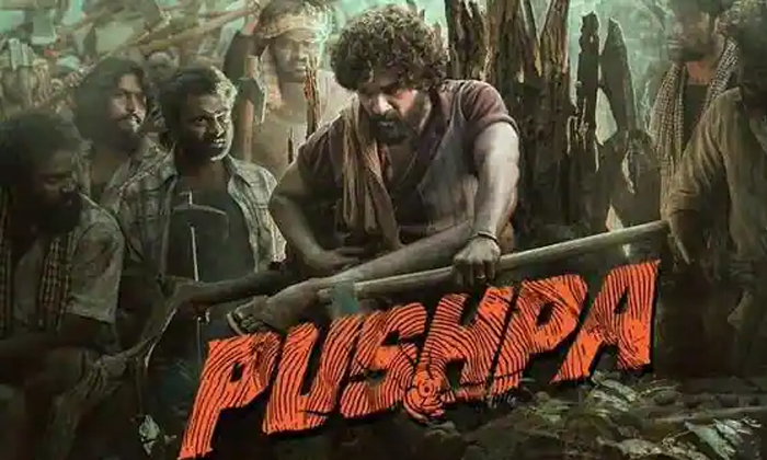  Pushpa Movie Shooting For Hindi Planing Different,latest News-TeluguStop.com