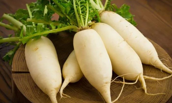  Dont Eat These Foods With Radish! Radish, Benefits Of Radish, Radish For Health,-TeluguStop.com