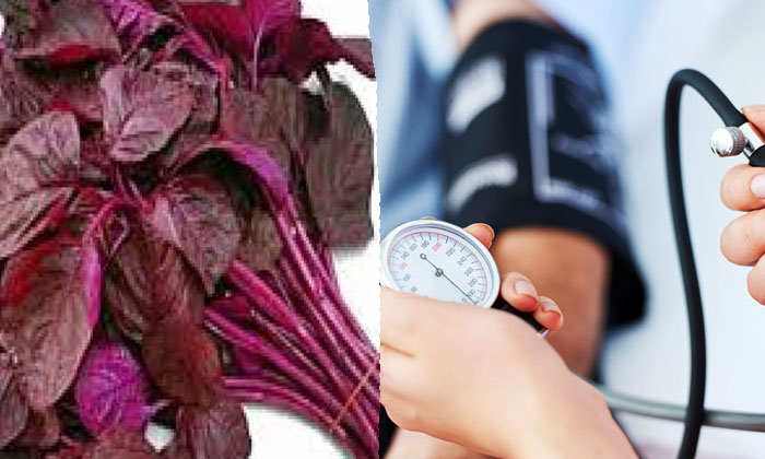  Health Benefits Of Red Amaranth Leaves! Health, Benefits Of Red Amaranth Leaves,-TeluguStop.com