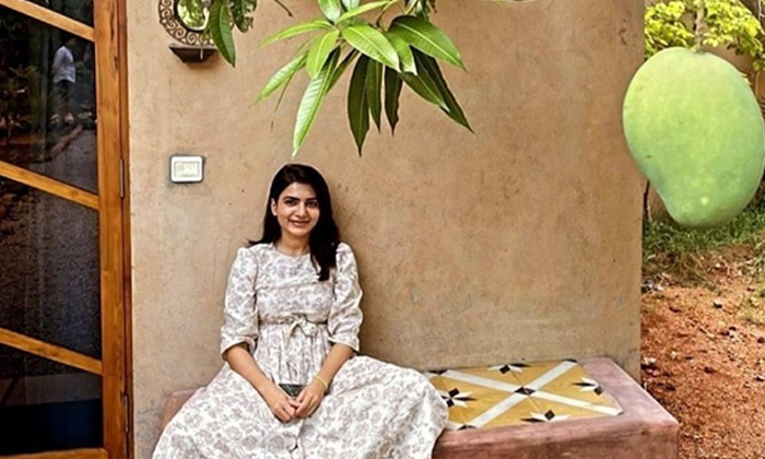  Samantha Akkineni Enjoys Family Man Success, Samantha Akkineni, Family Man 2, So-TeluguStop.com