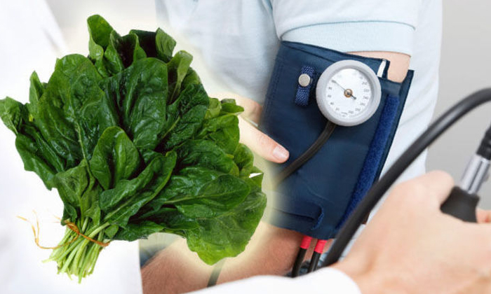  Spinach Leaves Helps To Control High Blood Pressure! Spinach Leaves, High Blood-TeluguStop.com