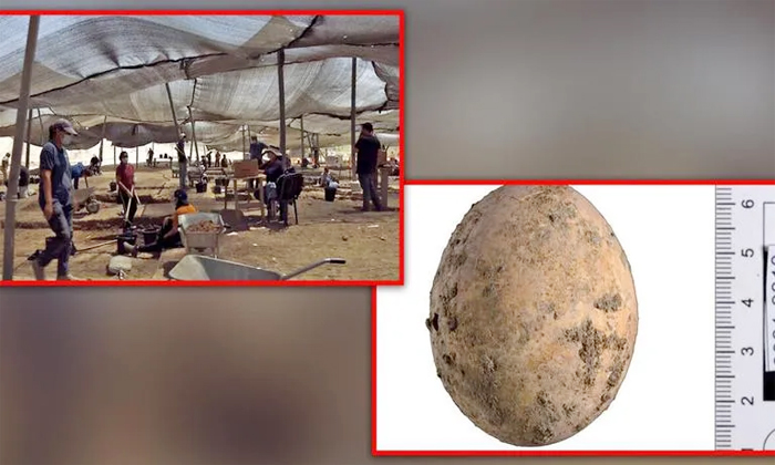  Viral 1000 Years Old Hen Egg Found In Israel  , 1000 Years, Egg, Found, Viral Ne-TeluguStop.com