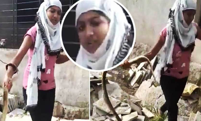  Viral Video A Woman Grabs The Snake With Hands Found In Construction Area , Girl-TeluguStop.com