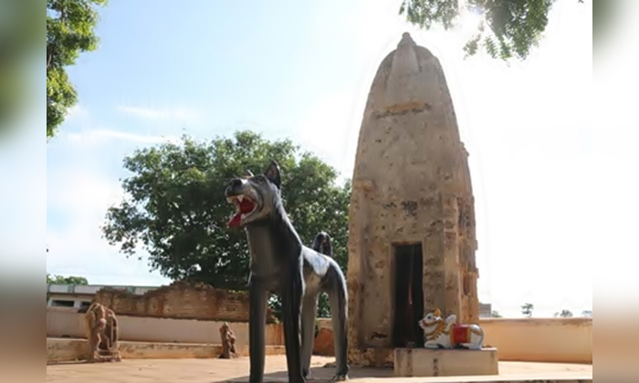  A Temple For A Dog Do You Know Where It Is, Dog, Temple, Madhya Pradesh, Kakoor-TeluguStop.com