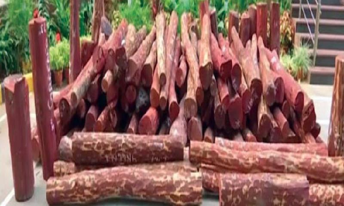  Ap Police Seizes 243 Logs Of Red Sandalwood Worth Rs 6.3 Crores-TeluguStop.com