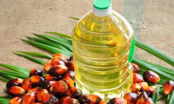 Telugu Benefitsground, Oil, Edible Oils, Healthy Oils, Mud Oil, Palmolive Oil, S