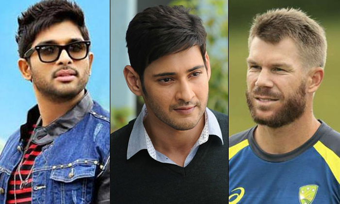 Telugu Allu Arjun, Australia, David, Mahesh Babu, Tollywood-Movie