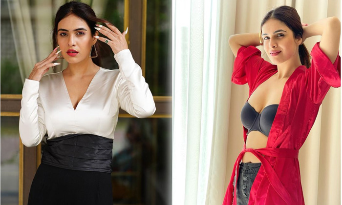Bollywood Model Actress Neha Malik Looks Sizzling Hot In This Pictures-telugu Actress Photos Bollywood Model Actress Neh High Resolution Photo