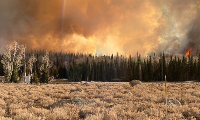  Wildfire Likely Increased Covid Risk In Neveda State,covid Risk, Neveda State,wi-TeluguStop.com