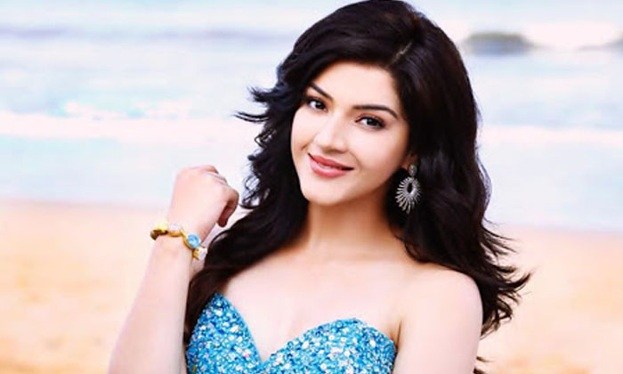  Interesting Facts About Star Heroine Mehreen, Doctor,  Crush,  Interesting Facts-TeluguStop.com