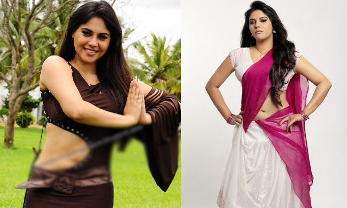  Juniors Telugu Movie Fame Sherin Shringar Real Life And Cinema Career, Juniors T-TeluguStop.com